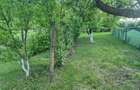 Vand casa cu gradina - 8