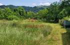 Teren intravilan in Brebu-- 3399mp--81.500e - 11