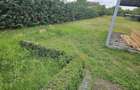Vand proprietate in Beius-front doua strazi - 7