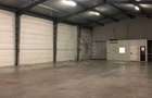 Inchiriere Hala Industriala 450 mp, Bucov - 4,5 euro/mp - 8