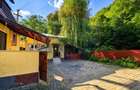 Cabană la munte, zona Someșul cRece - 9