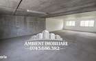 HALA DEPOZITARE sau ATELIER, teren 310 mp, VASLUI - zona Industriala; - 4