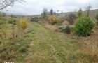vand 12 hectare teren arabil cu microferma si iaz