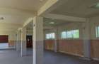 Vand spa?iu comercial compus din construc?ie tip hala ?i terenul aferent sat Holod 37km de Oradea - 5