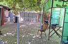 Vand casa in com. Macea, Arad. - 2