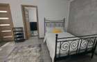 Apartament Baile Herculane - 4