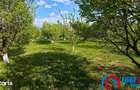 Teren intravilan 1000 mp in Sibiu Daia Noua - 4