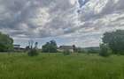 vant urgent teren 5000mp in localitatea hales - 4