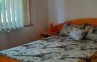 Se vinde casa de vacan?a cu vedere la munte in Valea Manastirii, Rame?i, jude?ul Alba - 4