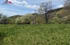 Teren intravilan 8330 mp de vanzare in Inuri Jud Alba
