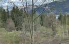 Vand teren Intravilan - 2
