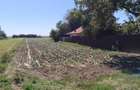 Teren intravilan vanzare Brezoaele - 7