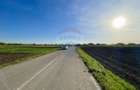 Teren Intravilan 6.220 mp | Strejnicu, Strada Livezilor - 2