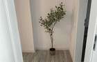 Persoana Fizica vand apartament 3 camere Floresti, str Somesului - 3