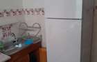 Apartament de inchiriat cu doua camere Militari - 5