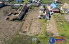 ID 6675 EXCLUSIVITATE - Teren cu casa in Sat Lunca- DELTA DUNARII - 1