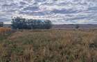 Teren intravilan de 1508 mp cu utilitati - Ianova - 1