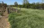 Vand teren intravilan JILAVA Str MORII 2650 mp