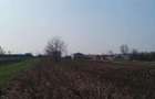 Teren DN5 Giurgiu Remus 2175mp, deschidere 20ml, Str. Poligonului - 3