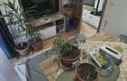 2cam.dec.mob-util complet+curte62mp+parcare/10min metrou D.leonida - 21