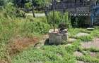 Casa caramida 4 camere + anexe - Caline?ti - Vrane... - 10
