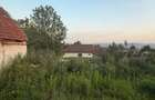 Casă cu 2 camere în Buteni - 5
