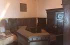 5 ha cu casa la tara - 1
