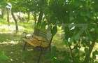 Cabana in zona Gherla, teren 1617 mp, zona linistita relaxare sau - 18