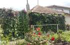 Casa VANZARE sau INCHIRIERE - Gospodarie,Solar & Utilita?i Paltini?u - 1