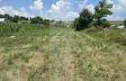 Teren intravilan, 1477mp , Loc. Balusenii Noi - Botosani - 1