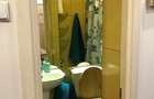 Apartament deosebit de inchiriat in vila P+2, cu gradina comuna Banu Manta - 8