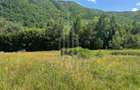 Teren intravilan 4600mp - 55 EUR/mp - EXCLUSIVITATE CISNADIOARA - COMI - 1