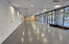 Pantelimon spatiu comercial 689mp - 3