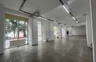 Spatiu Comercial | 261 mp | 20m Vitrina | Tineretului | Parc Carol