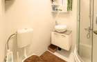 Casa renovata vis-a-vis de Parcul Carol | 3 camere, 2 bai, curte propr - 15