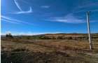 Teren Intravilan, 1030 mp, Zona Hamba-Sura Mare - 4