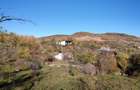5.400 mp teren cu două construcții,  acces din 2 străzi, zonă de deal - 3