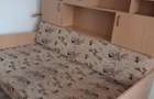 ofer spre inchiriere ap 2 camere semidecomandat zona Banat - 8