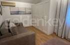 Vila individuala mobilata cu 3 dormitoare | 420mp teren - 12
