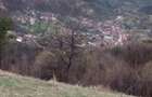 Casa cu gradina de vanzare - 6