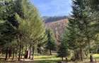 Vand casa la munte - Lunca Vi?agului, Valea Draganului