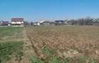 Vand teren intravilan - 5