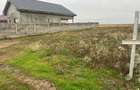 vand parcela (teren) casa 43000E Santandrei - 1