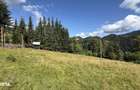 Teren intravilan 5620mp, acces public, panorama - 1