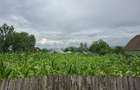 Teren intravilan 1000mp, zona Magura Sohodol
