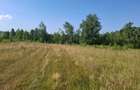 Vand teren langa Ferma Stana Dacilor, 3.5 hectare