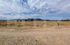 Teren extravilan de vanzare, 10.000 mp, zona Mures - 4