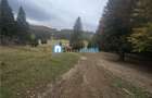 Teren intravilan Poiana Brasov