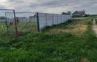 Teren de vanzare Tunari-Dimieni 800m2 cu autorizatie de constructie - 4