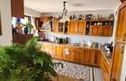 Penthouse - vanzare 4 camere - Central Park